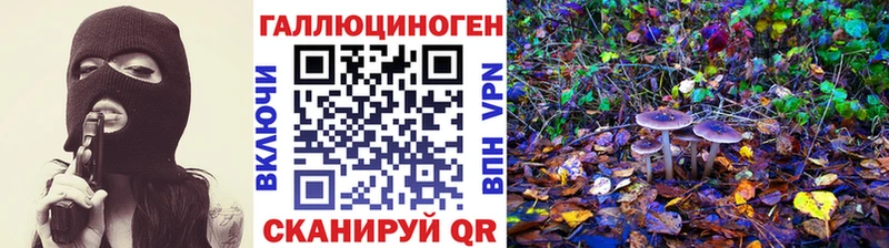Псилоцибиновые грибы Magic Shrooms  Электросталь 