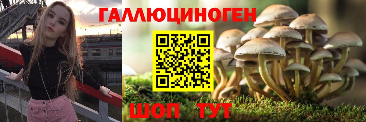 Галлюциногенные грибы Cubensis  сколько стоит  Электросталь  Вход с VPN  Галлюциногенные грибы ЛСД 